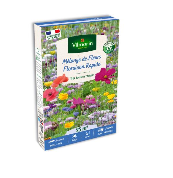 Mélanges de fleurs - Floraison Rapide - 25 m² - Mélange de fleurs - face recto